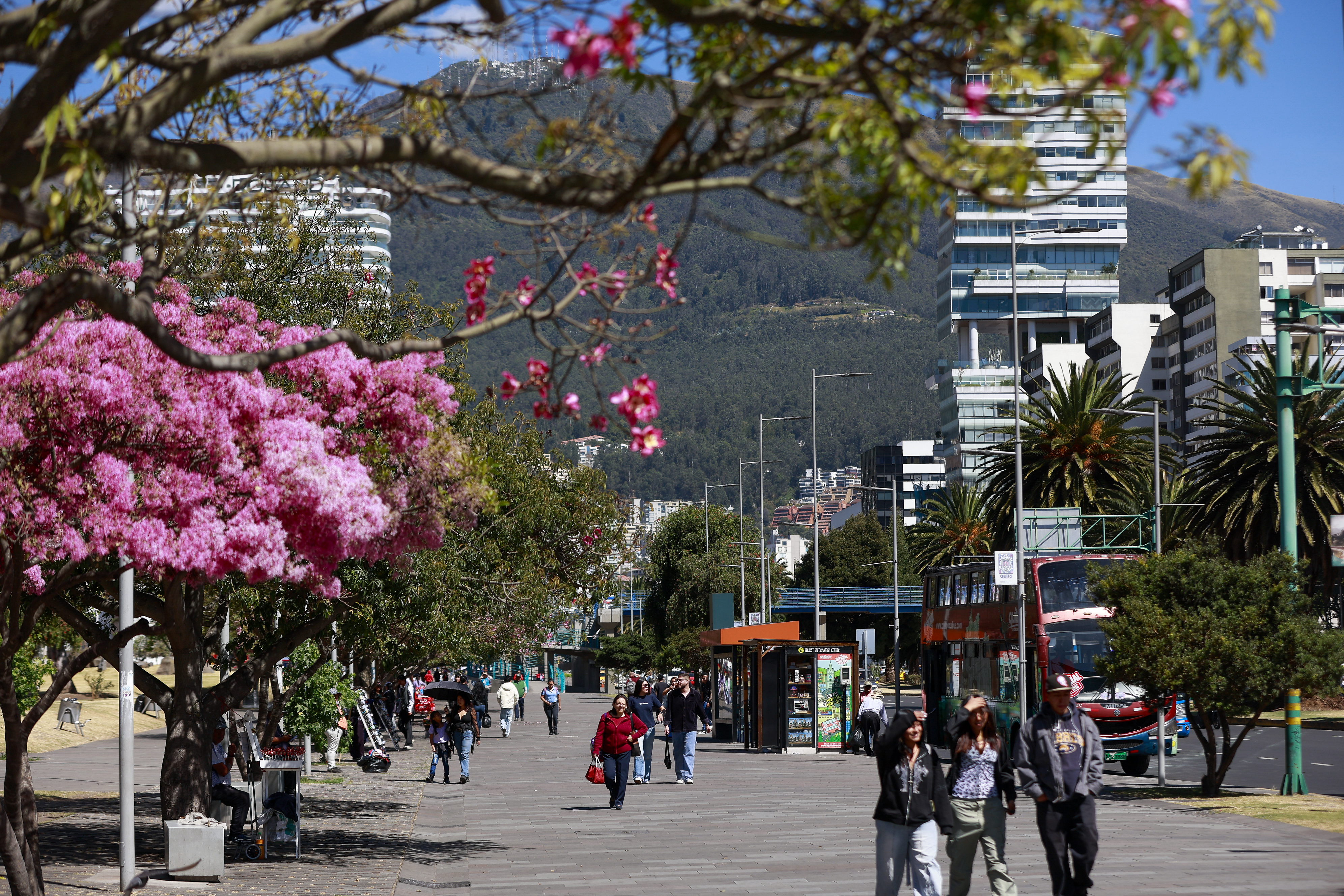 Miniatura de QUITO-CENTRO-EC-2287.jpg