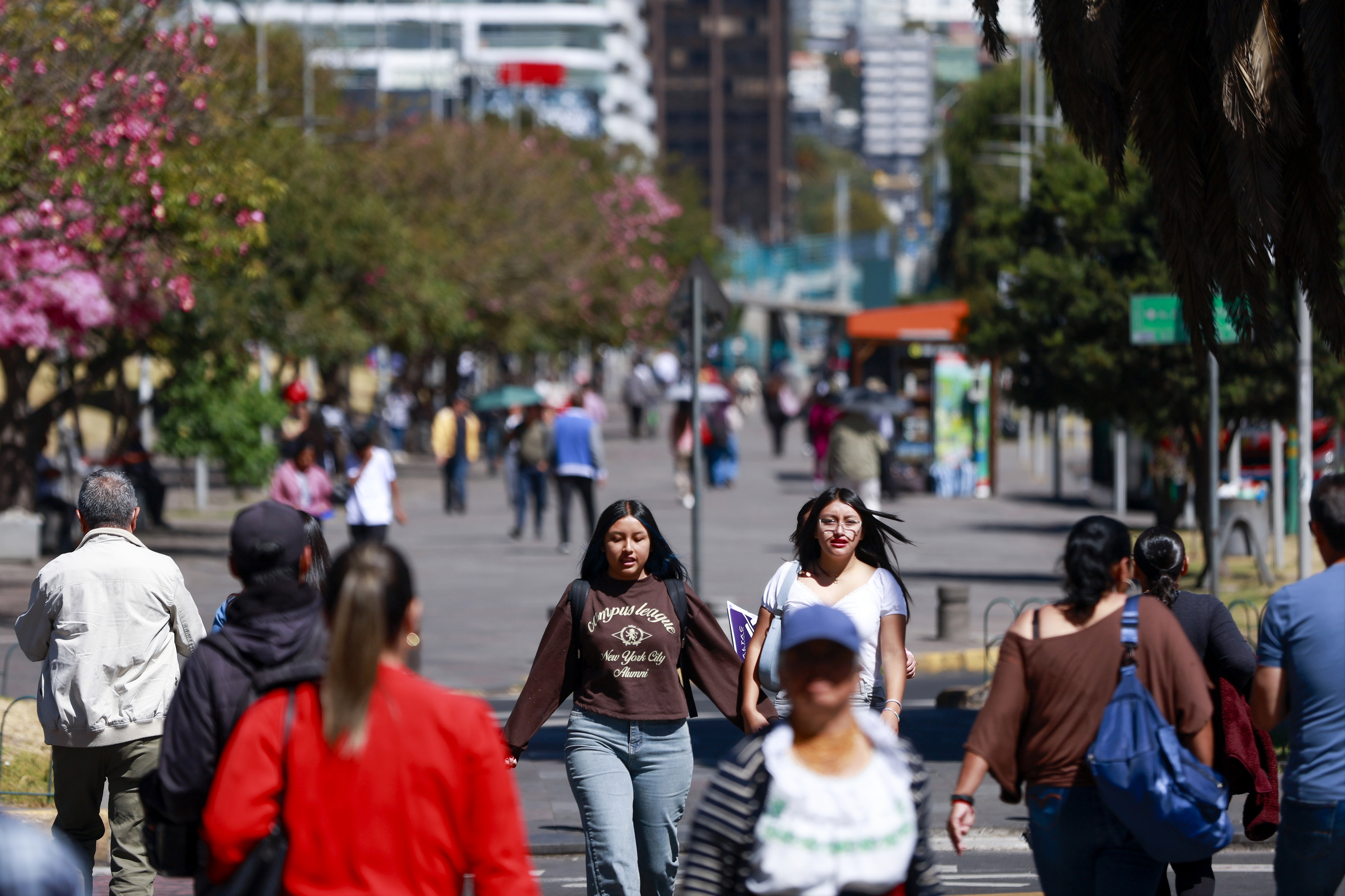 Miniatura de QUITO-CENTRO-EC-2115.jpeg