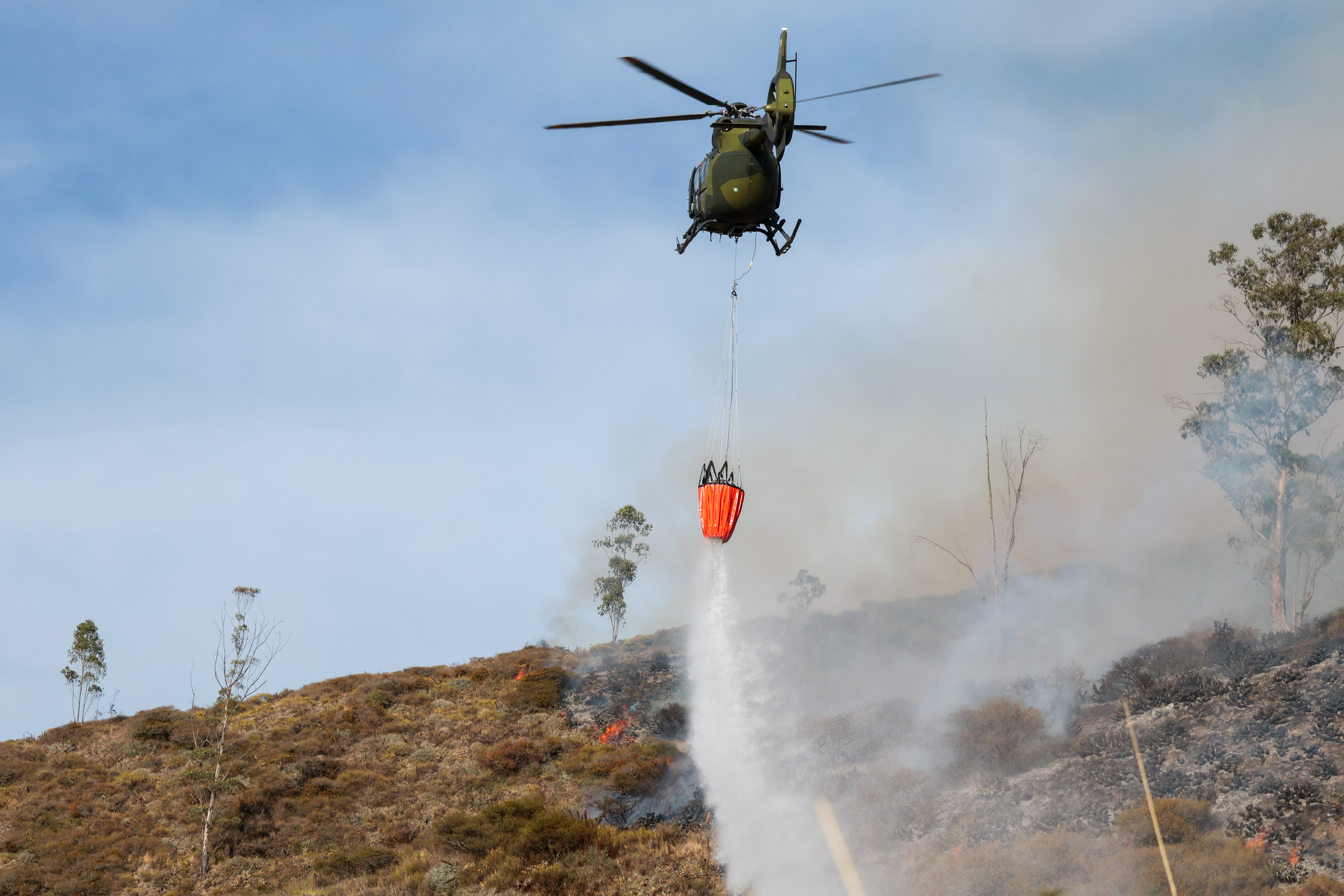 Miniatura de FIRE-7830.jpg
