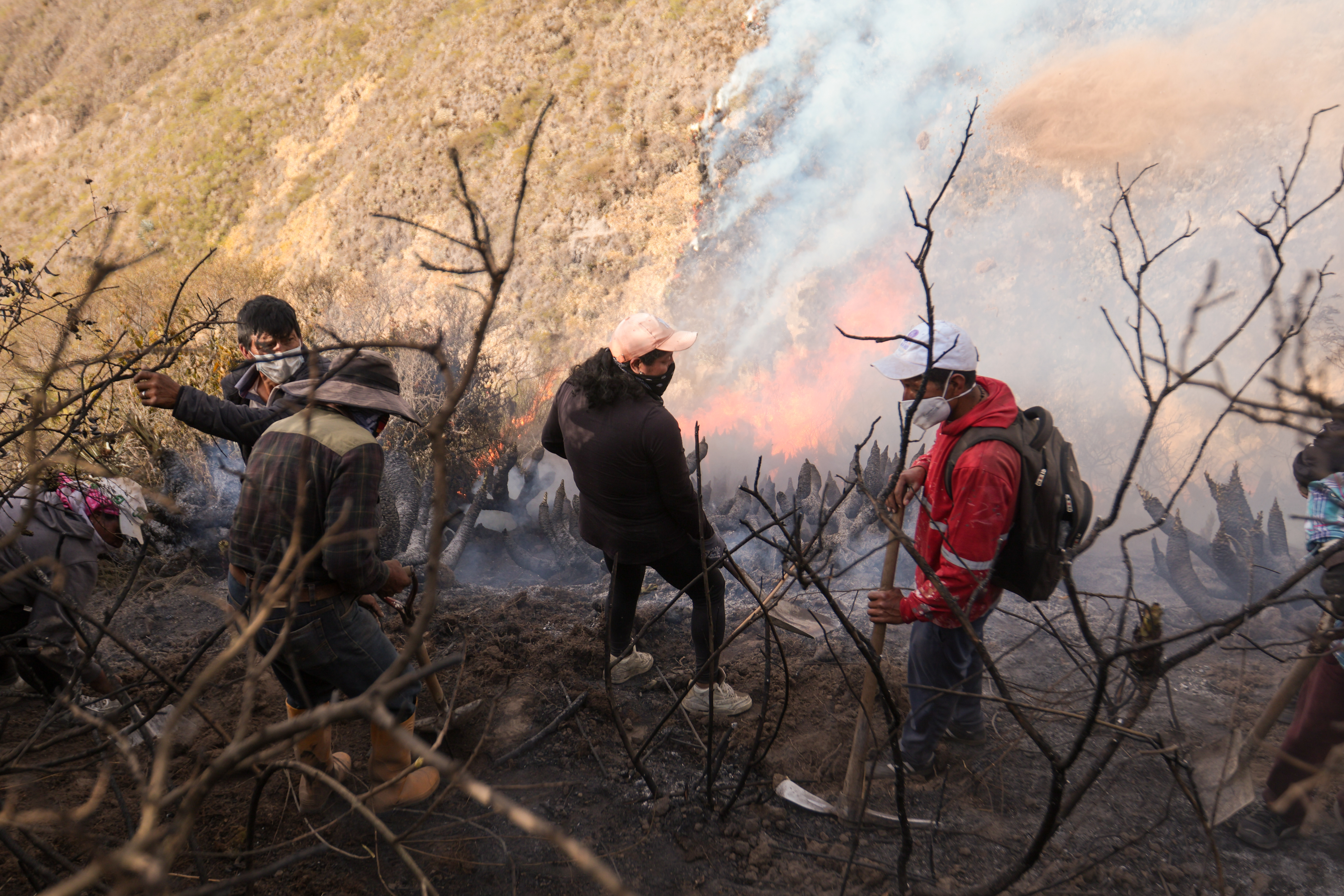 Miniatura de FIRE-7891.jpg