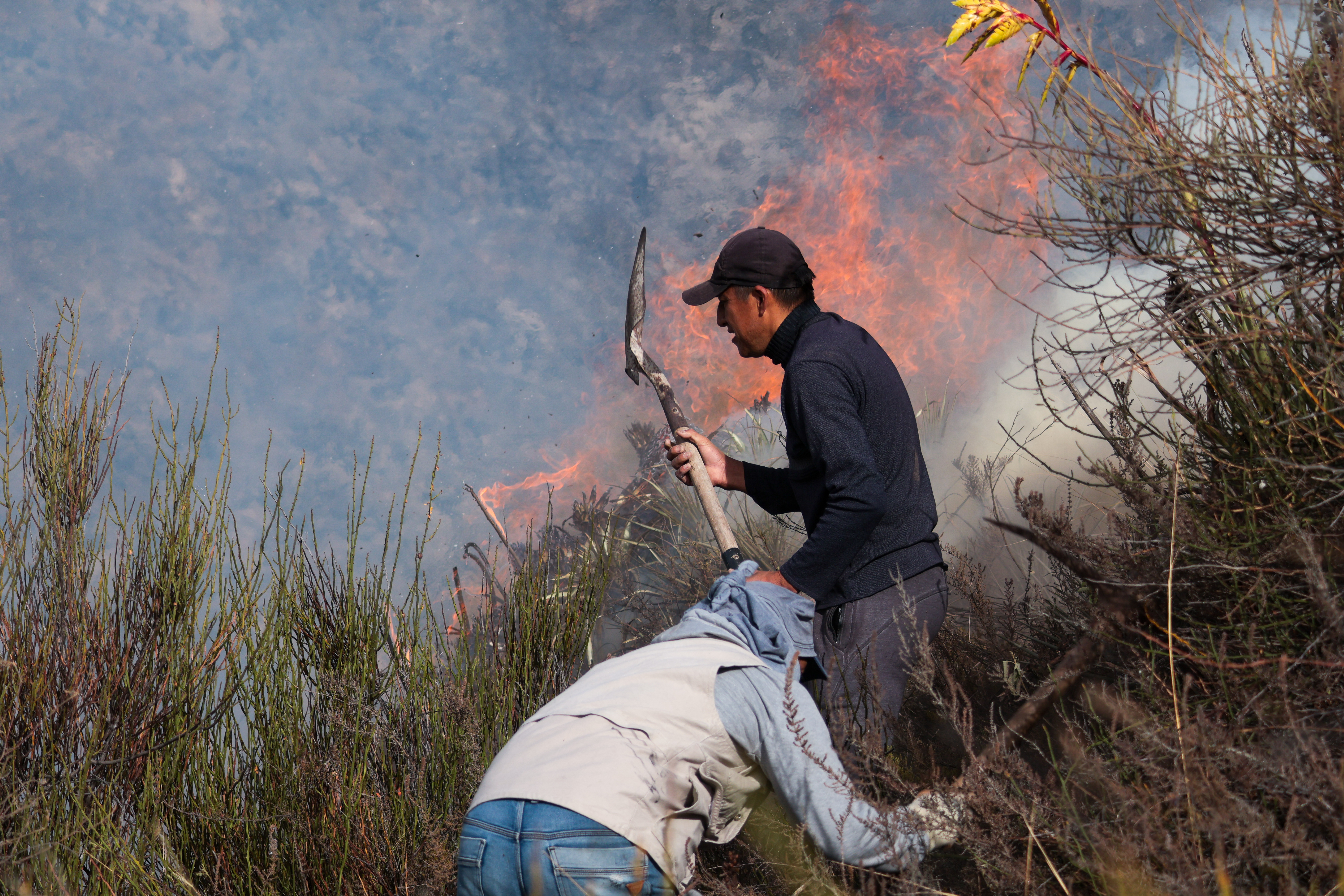 Miniatura de FIRE-7936.jpg