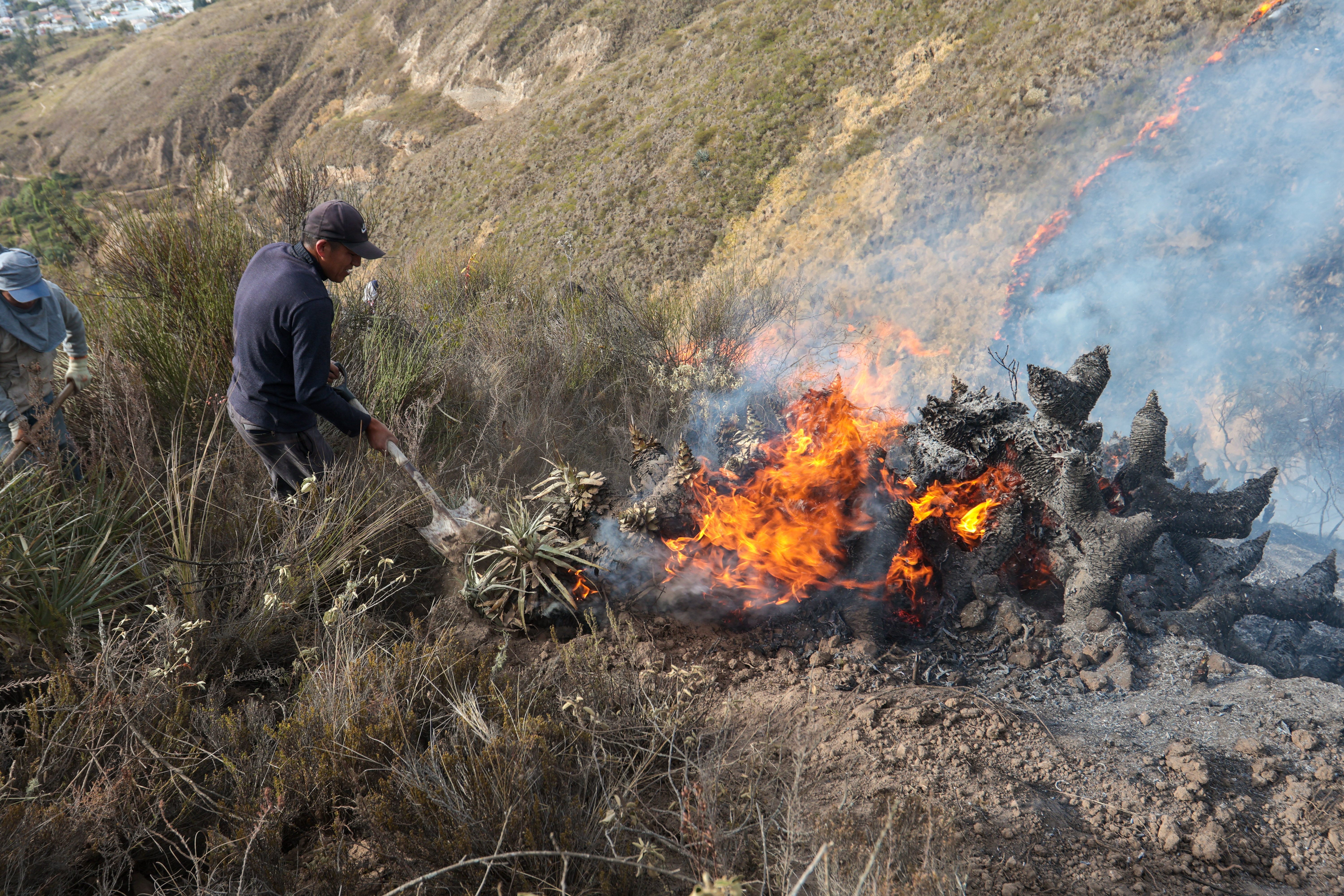 Miniatura de FIRE-7951.jpg