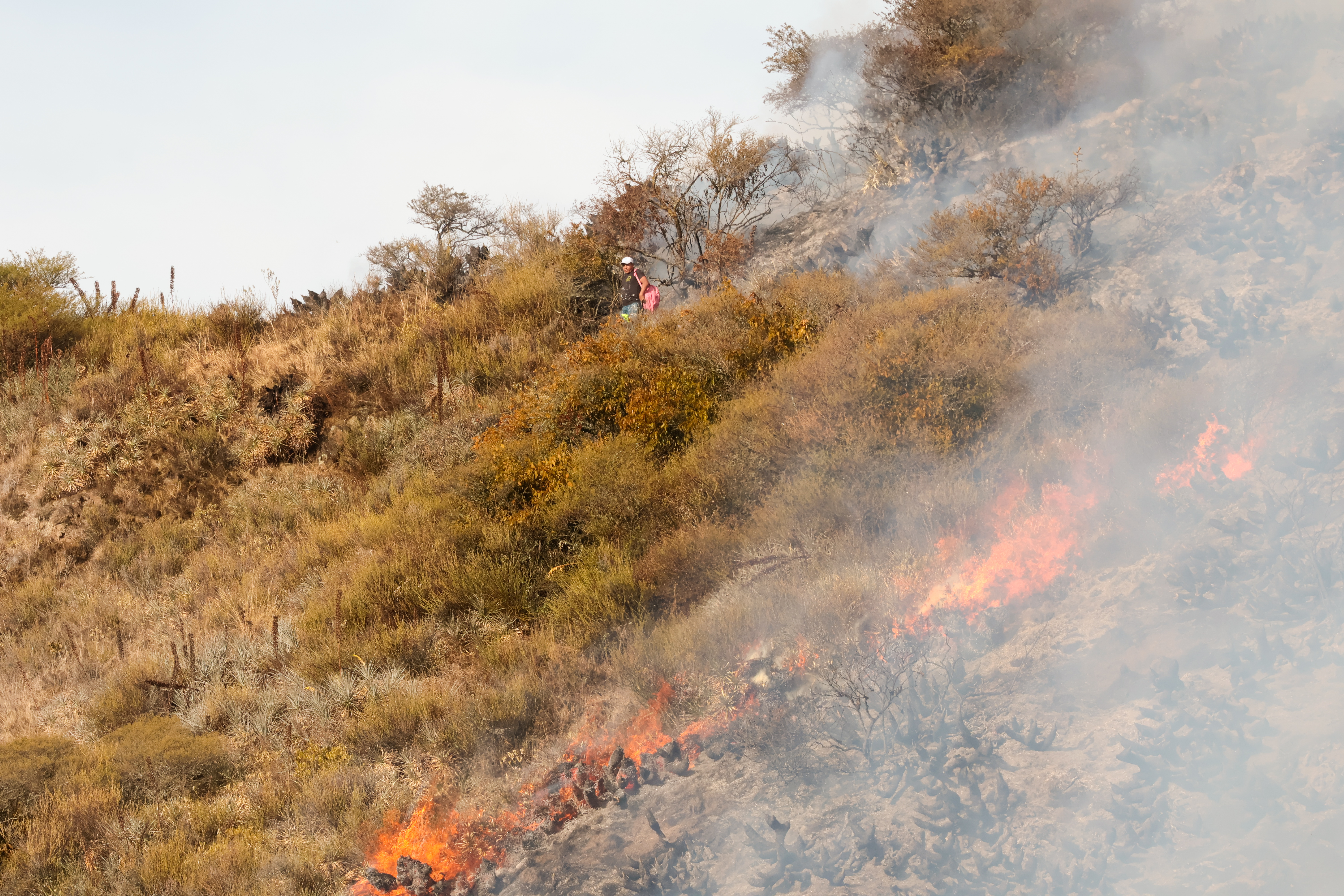 Miniatura de FIRE-7882.jpg