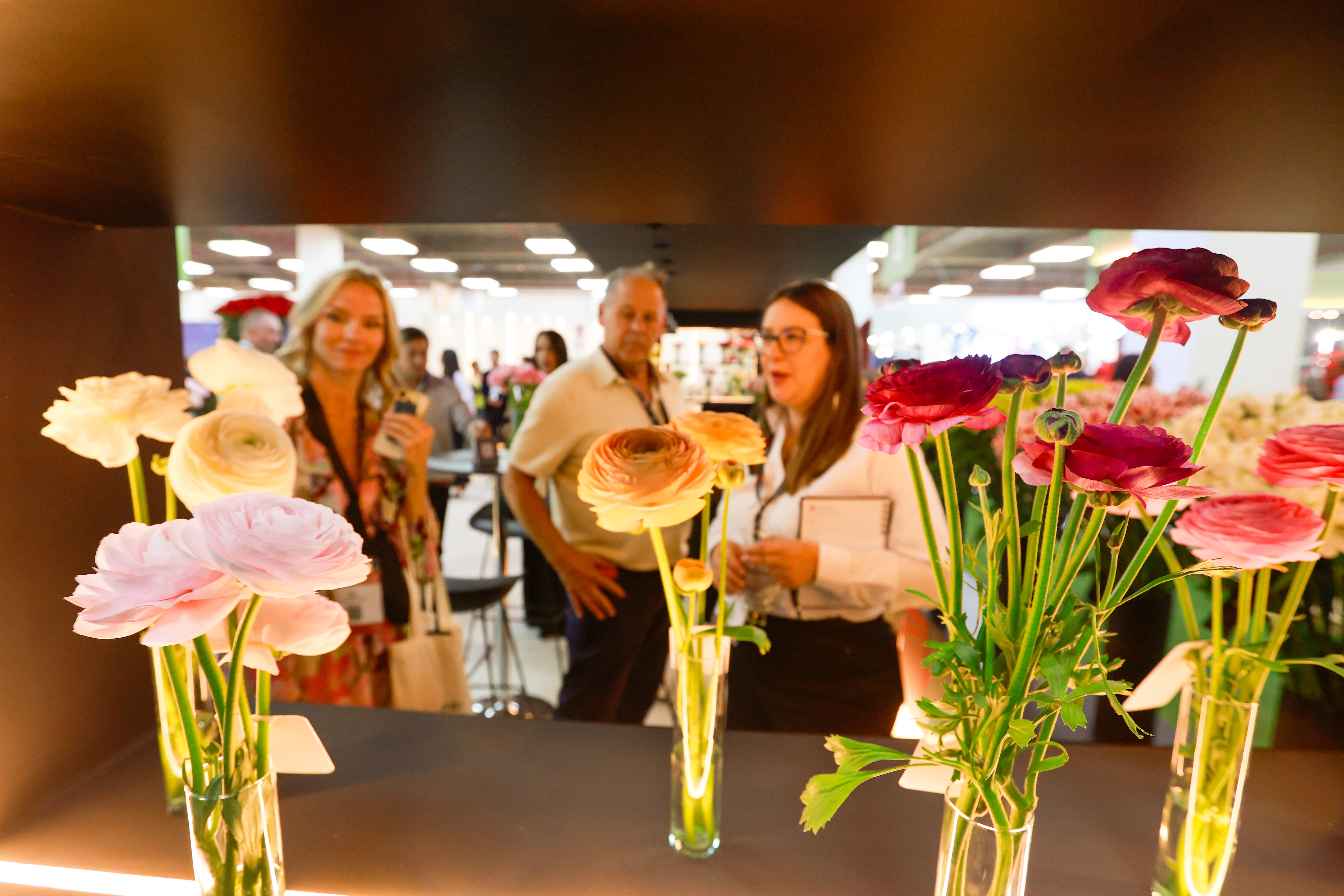Miniatura de EXPO-FLORES-3179.jpg