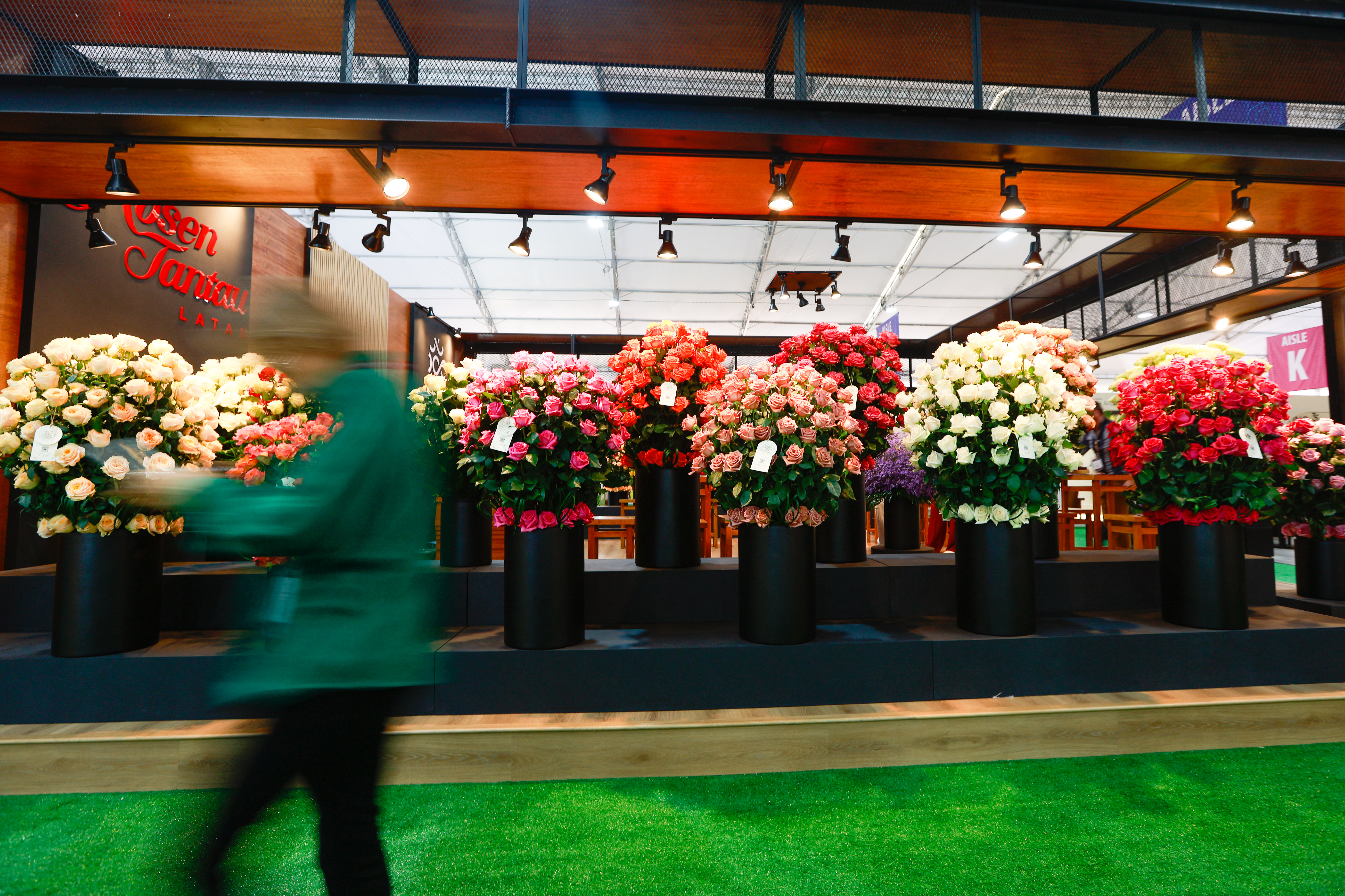 Miniatura de EXPO-FLORES-2373.jpg