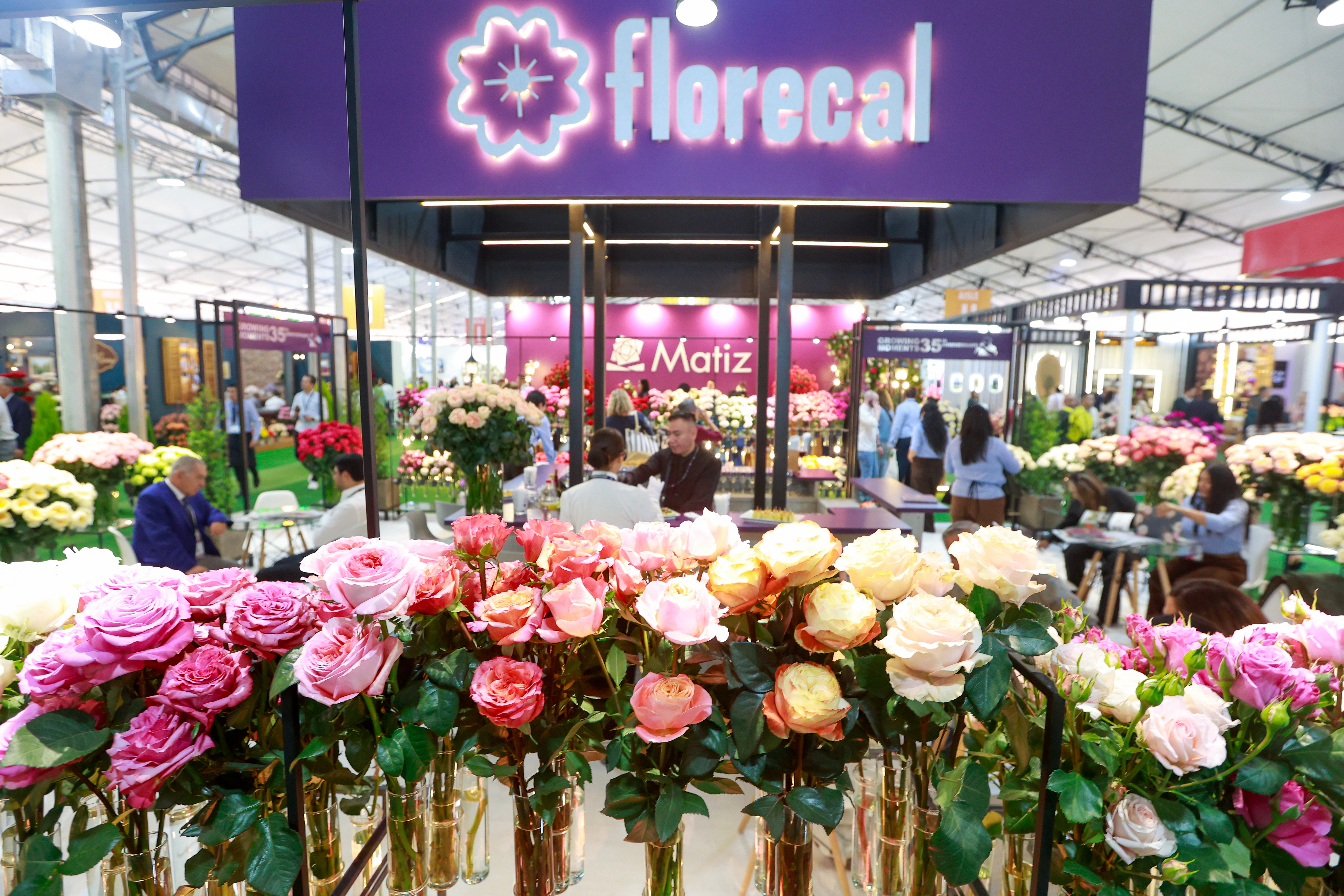 Miniatura de EXPO-FLORES-2971.jpg