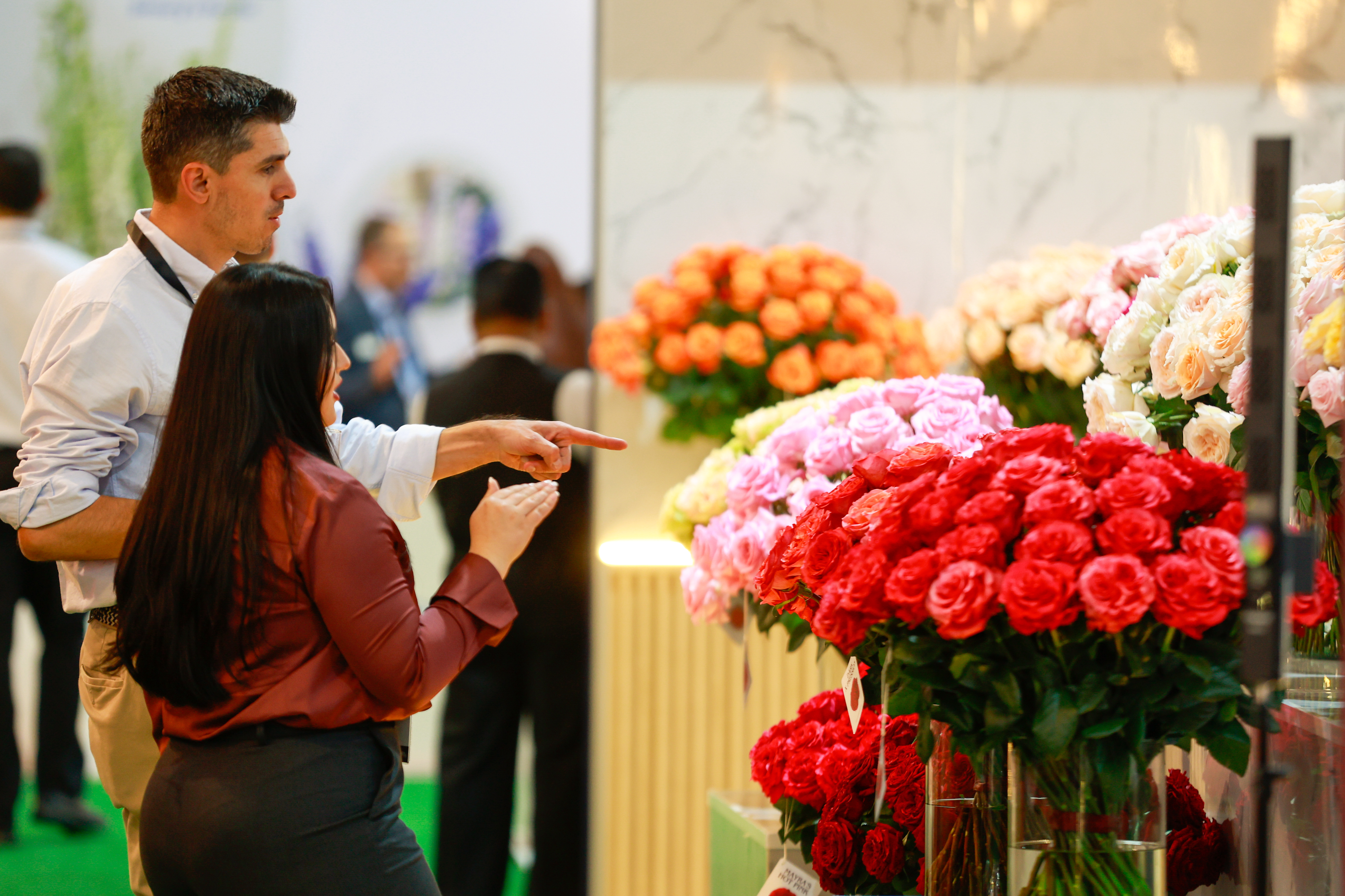 Miniatura de EXPO-FLORES-2658.jpg