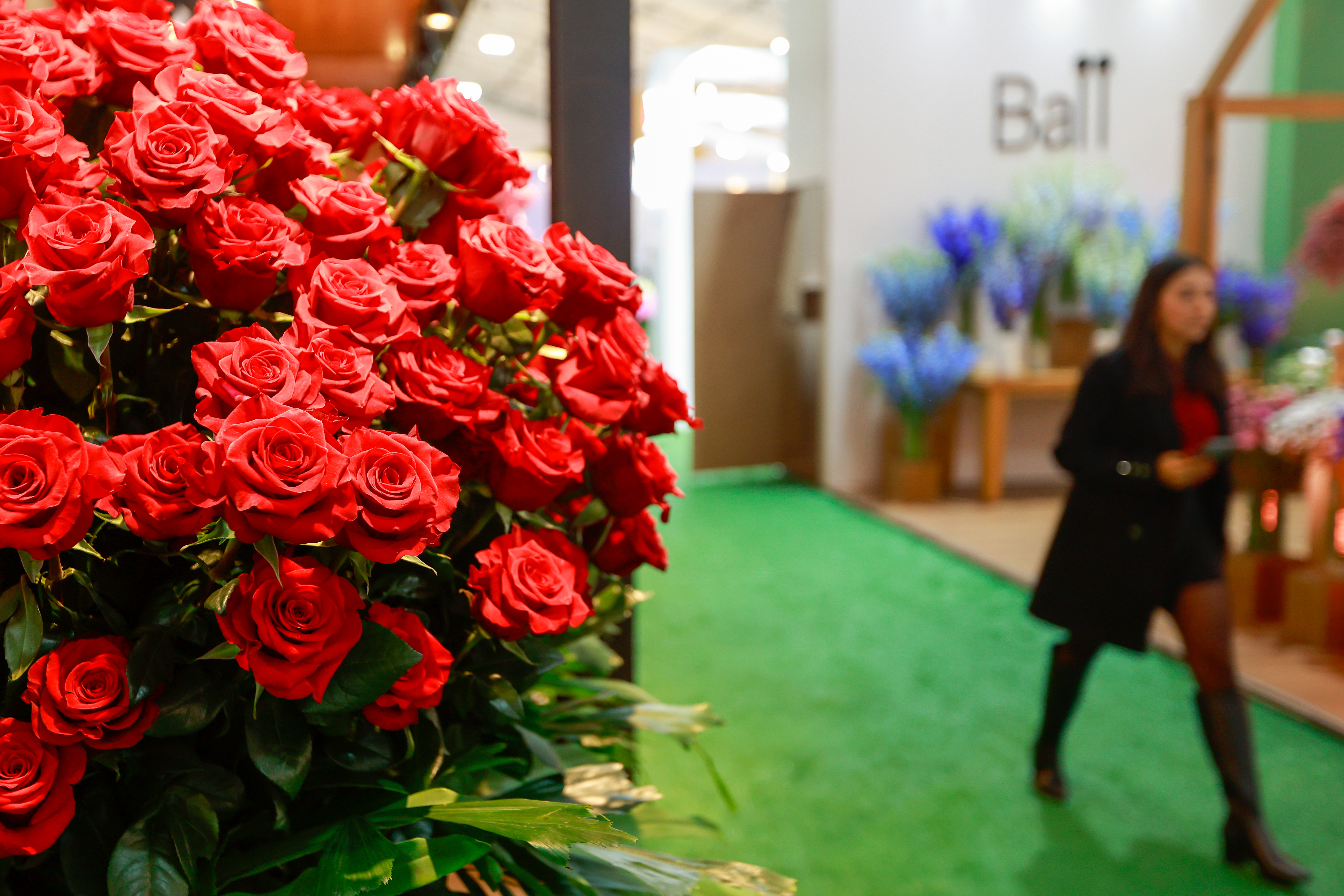 Miniatura de EXPO-FLORES-2539.jpg